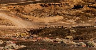 C罗专访预告：我比特朗普更出名，全世界没人比我更出名