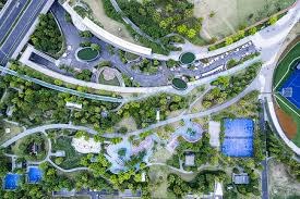 数据时代，直觉还有用吗